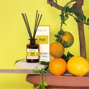 Diffusore Ambiente Spicchi di Agrumi 100ml di Helan