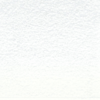 Matita colorate Derwent Lightfast – Matita a base d’ Olio 100% resistente alla luce fino a 100 anni – White